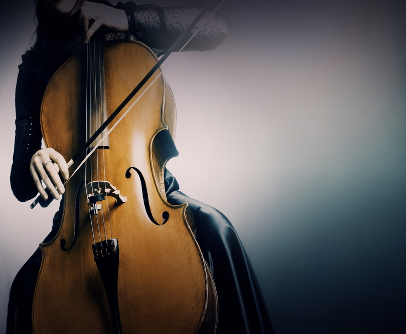 cello groot 809x667