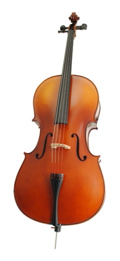 celloles 240x520