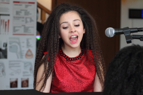 Bibi zingt 500x334